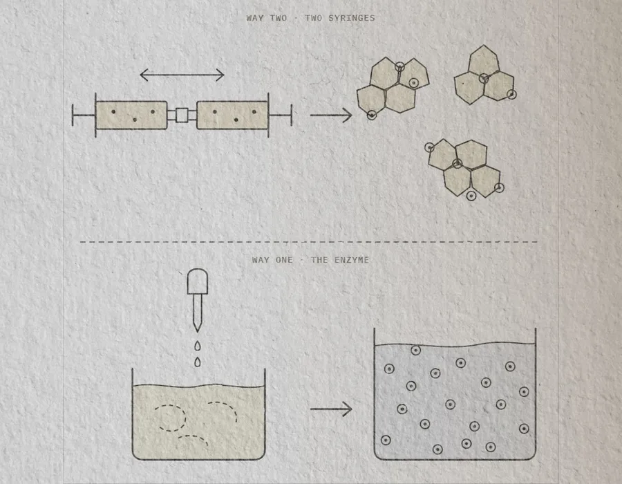 Two methods side by side: fat sheared between two syringes into small fragments of scaffold, and an enzyme dissolving fat into free single cells