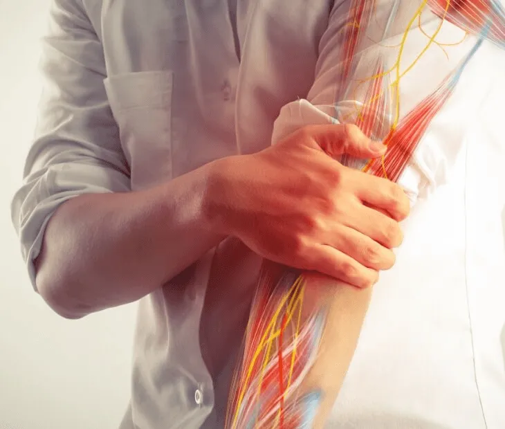 Nerve / Vessel / Tendon Repair