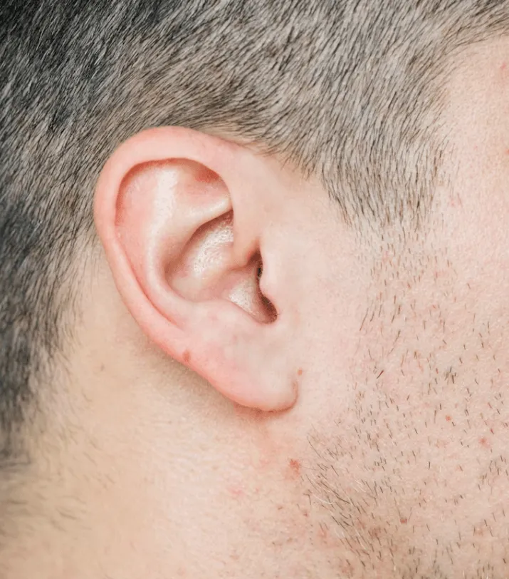 Ears
